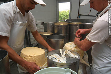 Pequeña industria de fabricación de quesos - Departamento de Colonia - URUGUAY. Foto No. 37632