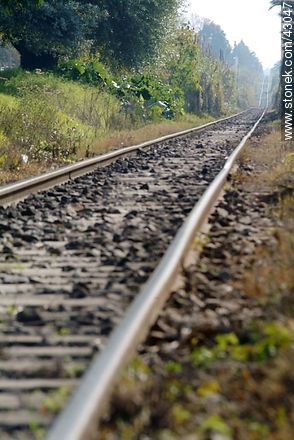 Straight railway. - Department of Montevideo - URUGUAY. Photo #43047
