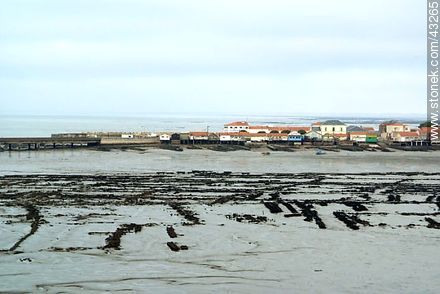 Costa atlántica con marea baja. Cultivo de ostras. - Región de Poitou-Charentes - FRANCIA. Foto No. 43265