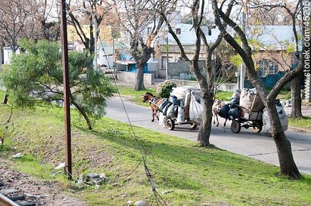Carros a caballo de recolectores de residuos. Calle Juan José Aguiar. - Departamento de Montevideo - URUGUAY. Foto No. 45205
