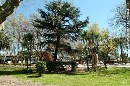 Plaza de Pando - Departamento de Canelones - URUGUAY. Foto No. 45713