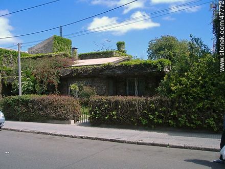Casa con vegetación - Departamento de Paysandú - URUGUAY. Foto No. 47772