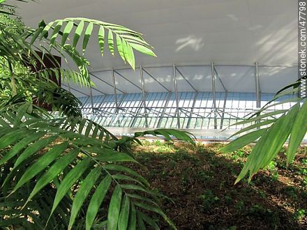 View on the second floor - Department of Canelones - URUGUAY. Photo #47798