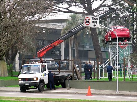 And the crane took it ...  - Department of Montevideo - URUGUAY. Photo #47883