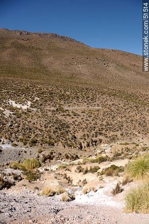 Termas de Jurasi. Altitud: 4050m - Chile - Otros AMÉRICA del SUR. Foto No. 51514