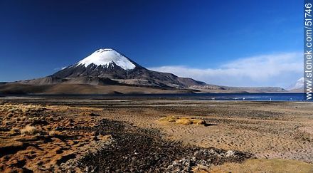 Parinacota volcano, lake Chungará. - Chile - Others in SOUTH AMERICA. Photo #51746