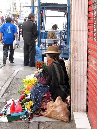 Bolivian street vending elderly - Bolivia - Others in SOUTH AMERICA. Photo #52082