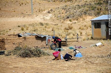 Trabajo rural - Bolivia - Otros AMÉRICA del SUR. Foto No. 52708