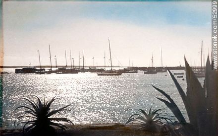 Old photo of the Port of Punta del Este - Punta del Este and its near resorts - URUGUAY. Photo #52999