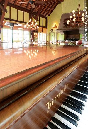 Bösendorfer piano of the tea room  - Punta del Este and its near resorts - URUGUAY. Photo #54578