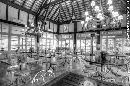 Tea room - Punta del Este and its near resorts - URUGUAY. Photo #54591