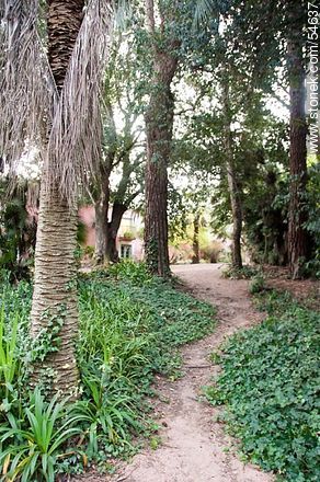 Trail in the park - Punta del Este and its near resorts - URUGUAY. Photo #54637