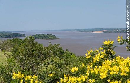 Vista al río Uruguay desde la Meseta de Artigas - Departamento de Paysandú - URUGUAY. Foto No. 57316