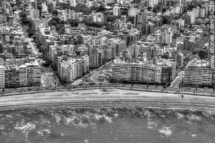 Aerial view Pocitos Beach,  Bulevar España and Avenida Brasil -  - MORE IMAGES. Photo #59286