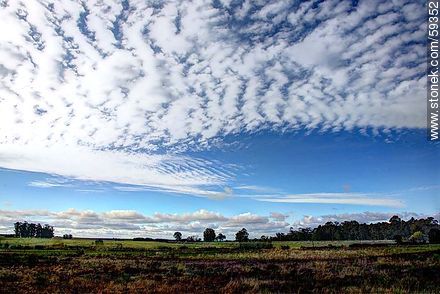 Uruguayan field with variety of clouds -  - URUGUAY. Photo #59352