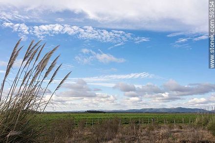 Campo uruguayo con variedad de nubes -  - URUGUAY. Foto No. 59354
