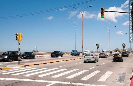 Contradiction: Traffic and zebras. -  - URUGUAY. Photo #60019