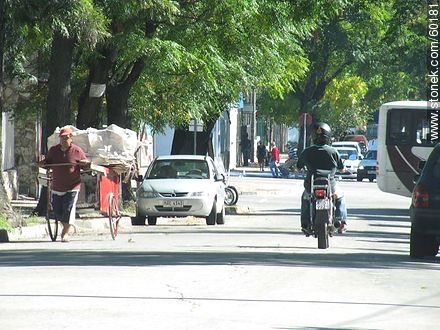 Hurgador con carro de mano - Departamento de Montevideo - URUGUAY. Foto No. 60181