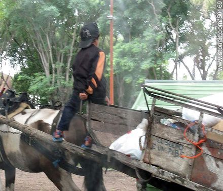 Carro a caballo conducido por un niño frente a un contenedor de basura -  - URUGUAY. Foto No. 60169
