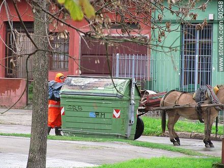 Hurgador de uniforme municipal con carro de caballo -  - URUGUAY. Foto No. 60248