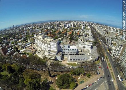 Aerial photo of the Hospital Pereira Rossell  - Department of Montevideo - URUGUAY. Photo #60904