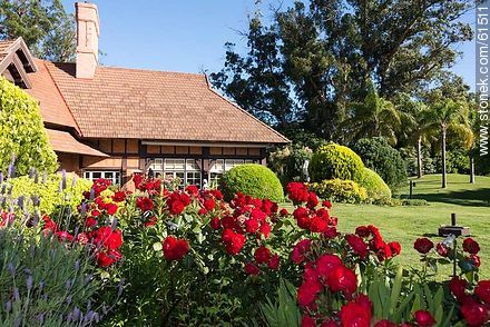 Gardens of the hotel. Roses - Punta del Este and its near resorts - URUGUAY. Photo #61511