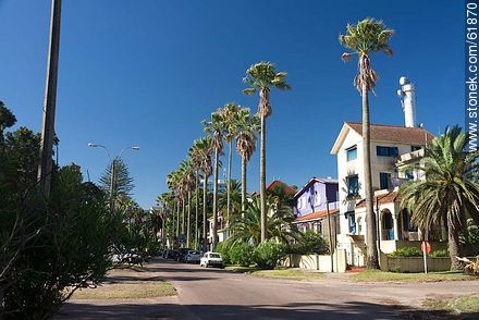 Houses on the Rambla with tall palm trees - Department of Canelones - URUGUAY. Photo #61870