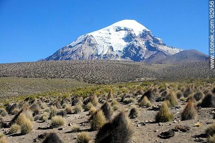 Volcán nevado Sajama. Ichu o paja brava - Bolivia - Otros AMÉRICA del SUR. Foto No. 62956