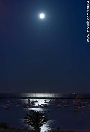 Full moon illuminating the Puerto del Buceo - Department of Montevideo - URUGUAY. Photo #63804