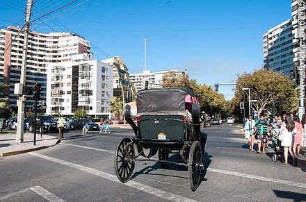 Horse-drawn carriage on Avenida Peru - Chile - Others in SOUTH AMERICA. Photo #63905