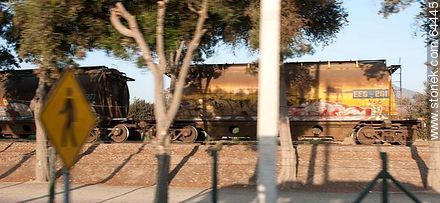 Train with freight cars - Chile - Others in SOUTH AMERICA. Photo #64445