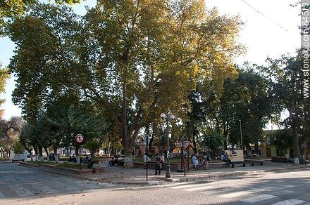 Plaza de Armas - Chile - Otros AMÉRICA del SUR. Foto No. 64513