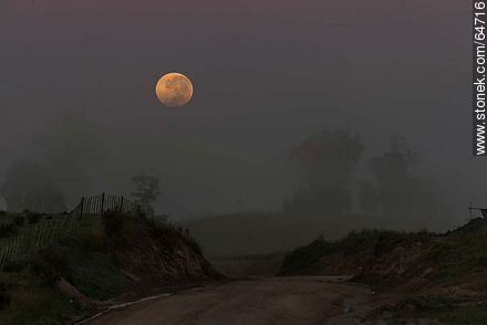 Luna llena en el campo al amanecer - Departamento de Tacuarembó - URUGUAY. Foto No. 64716