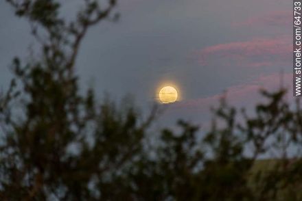 Full moon in the field at sunset -  - URUGUAY. Photo #64733