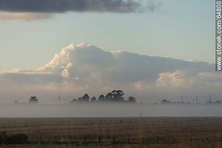 Amanecer con niebla en el campo -  - URUGUAY. Foto No. 64800
