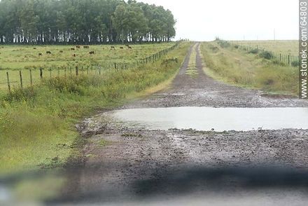 Hole filled with water in the middle of a road in the countryside - Department of Salto - URUGUAY. Photo #64803