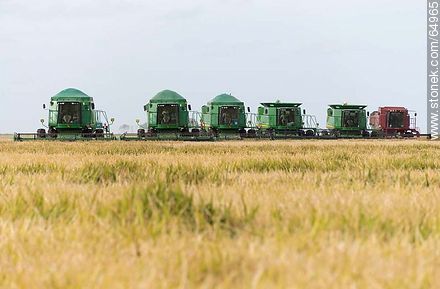 Rice harvesters -  - URUGUAY. Photo #64965