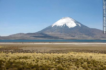 Chungará Lake. Parinacota volcano - Chile - Others in SOUTH AMERICA. Photo #65167