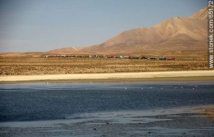 Flamingos on Lake Chungará. Row of Bolivian trucks to enter the Chilean customs - Chile - Others in SOUTH AMERICA. Photo #65172