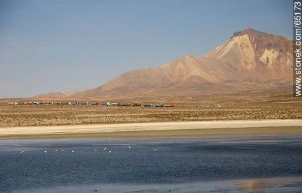 Flamingos on Lake Chungará. Row of Bolivian trucks to enter the Chilean customs - Chile - Others in SOUTH AMERICA. Photo #65173