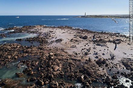 Aerial view of Isla Rasa and its sea lion colony - Department of Rocha - URUGUAY. Photo #66490