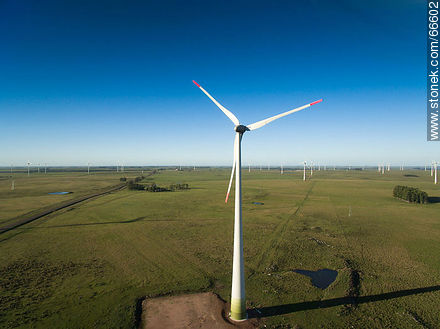 Aerial view of fields dedicated to wind energy - Tacuarembo - URUGUAY. Photo #66602