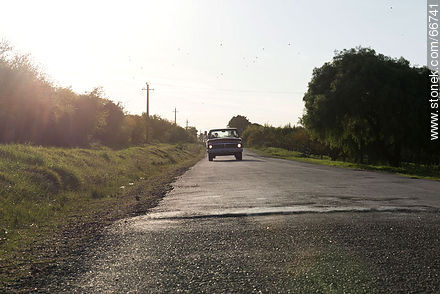 Camino de las Tunas, Carmelo - Department of Colonia - URUGUAY. Photo #66741