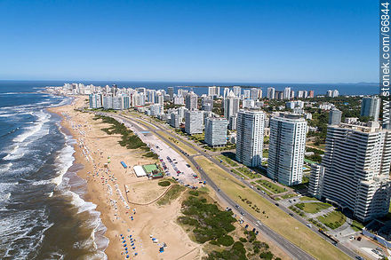 Aerial view of the Lorenzo Batlle Pacheco promenade over Brava beach and its towers. - Punta del Este and its near resorts - URUGUAY. Photo #66844