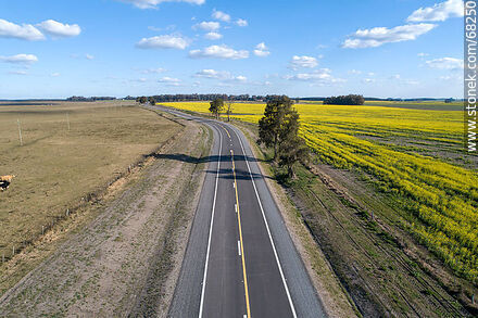 Aerial view of route 14. Yellow canola field on the right - Flores - URUGUAY. Photo #68250