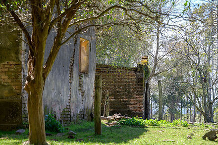 Antigua casa abandonada en el campo - Durazno - URUGUAY. Photo #69245
