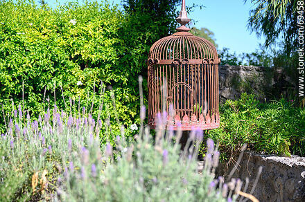 Old birdhouse - Department of Colonia - URUGUAY. Photo #69458