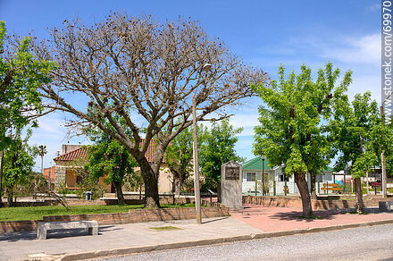 Square - Department of Treinta y Tres - URUGUAY. Photo #69970