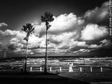 Alto contraste en blanco y negro de la playa de Piriápolis en invierno -  - IMÁGENES VARIAS. Foto No. 71798