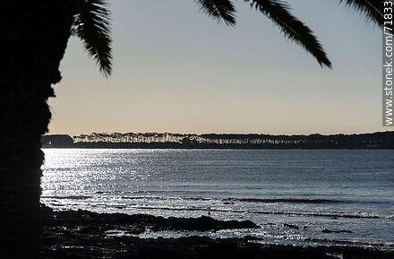 Gorriti Island at sunset - Punta del Este and its near resorts - URUGUAY. Photo #71833
